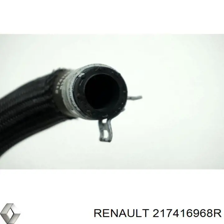 217416968R Renault (RVI)