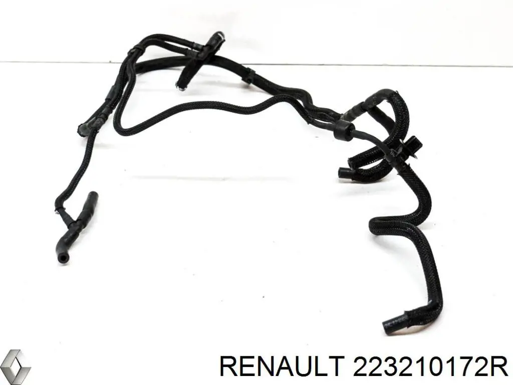 223210172R Renault (RVI)