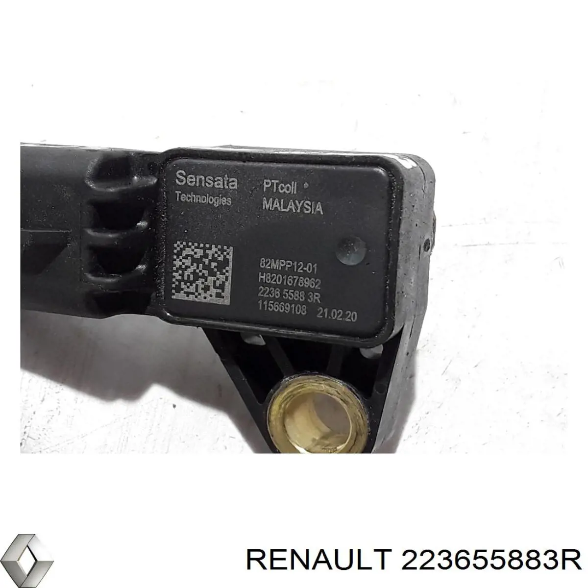 Sensor de presión EGR Renault (RVI) 223655883R precio, desde  EUR