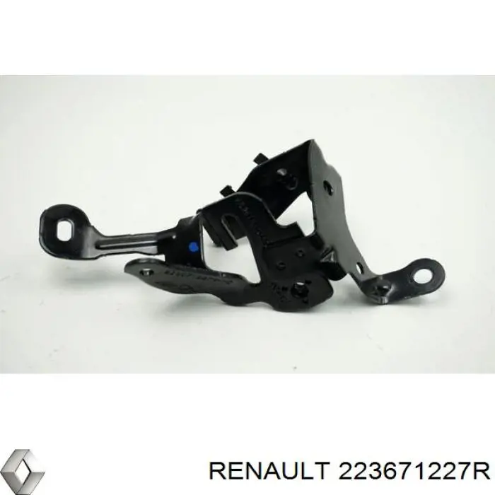 223671227R Renault (RVI)