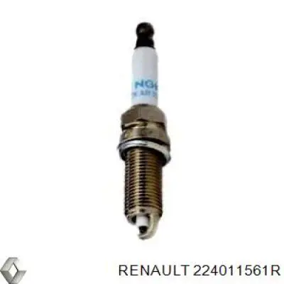 Bujías Renault (RVI) 224011561R precio, desde 13,75 EUR