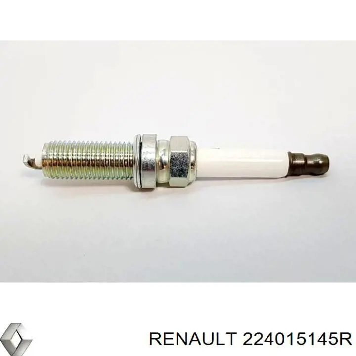 224015145R Renault (RVI)