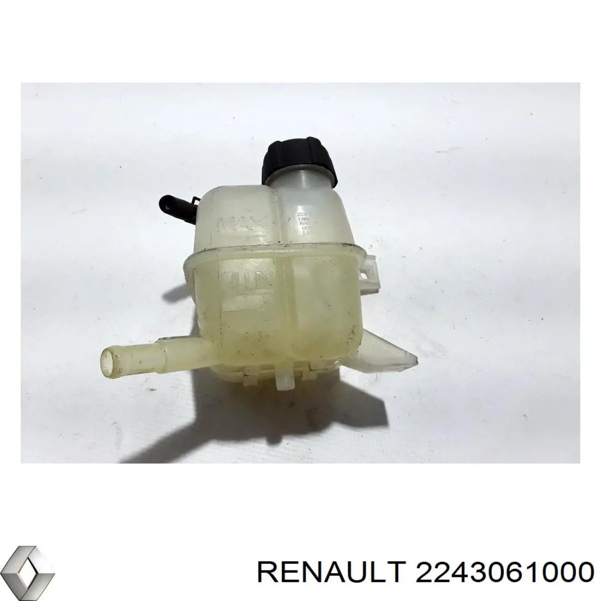 2243061000 Renault (RVI)