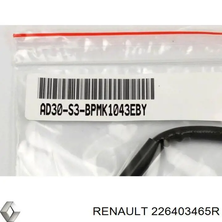 226403465R Renault (RVI)