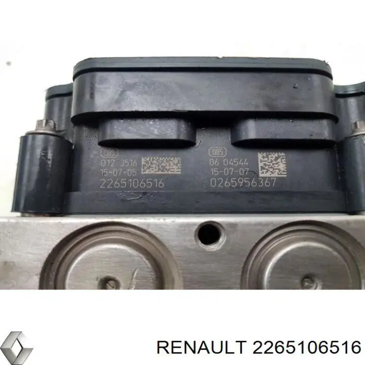 2265106516 Renault (RVI)