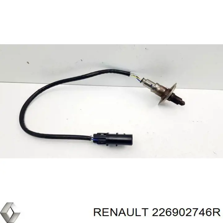  226902746R Renault (RVI)