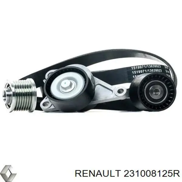 Alternador del motor Renault (RVI) 231008125R precio, desde 188,73 EUR