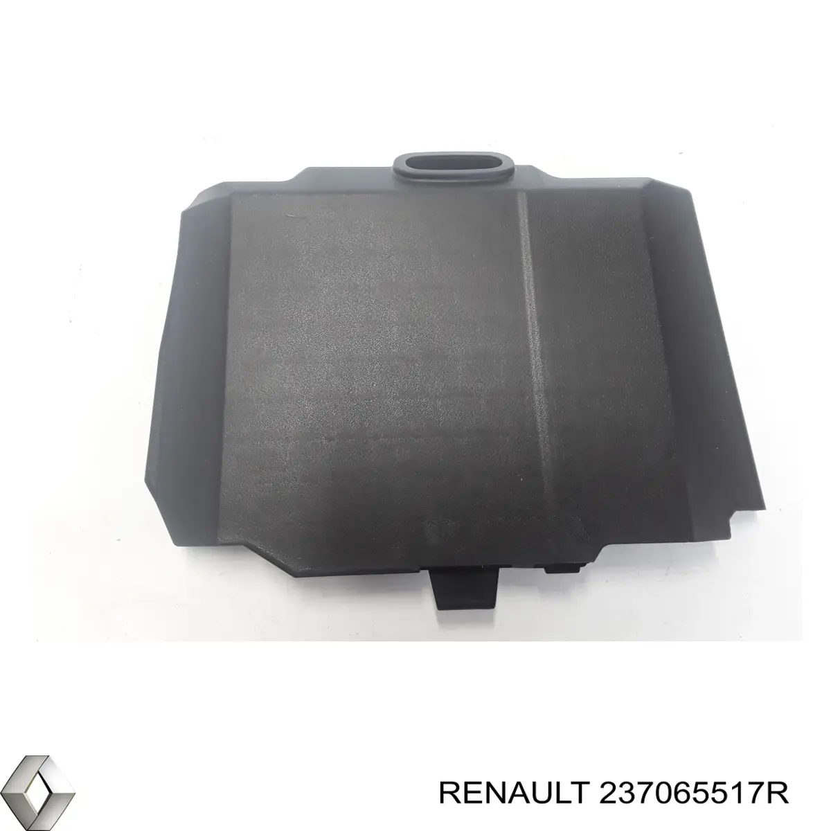 237065517R Renault (RVI)