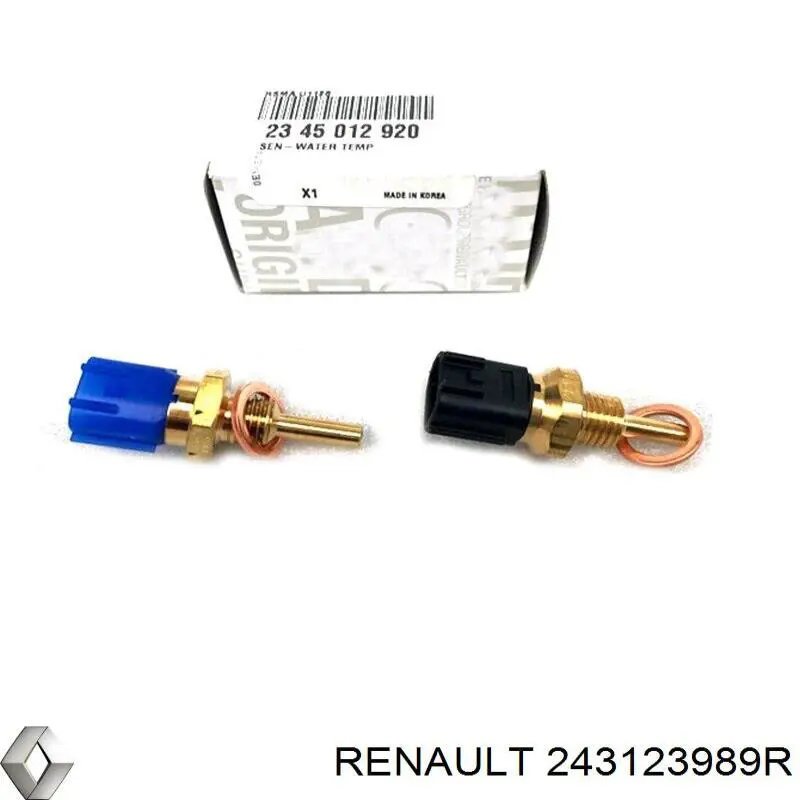 243123989R Renault (RVI)