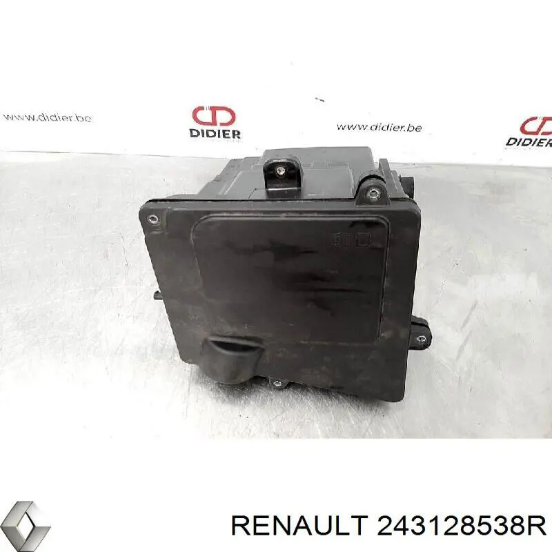 243128538R Renault (RVI)