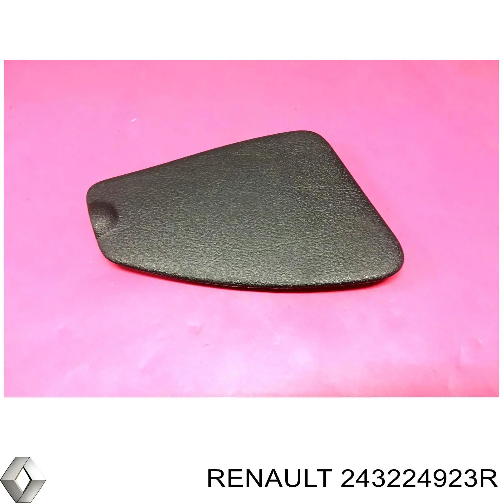 243224923R Renault (RVI)