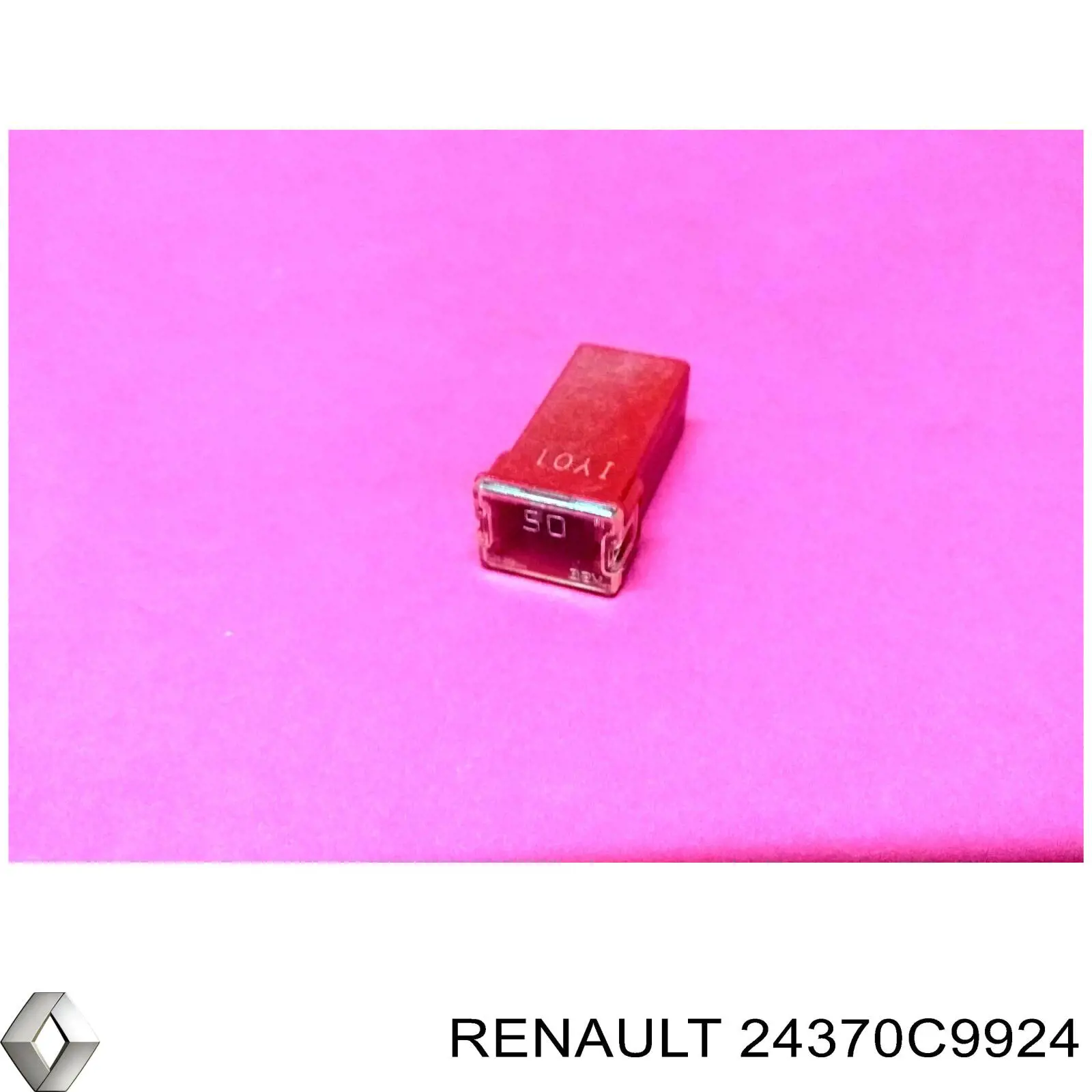 24370C9924 Nissan/Infiniti Caja de relés y fusibles
