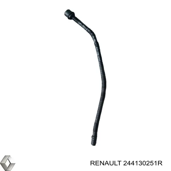 244130251R Renault (RVI)