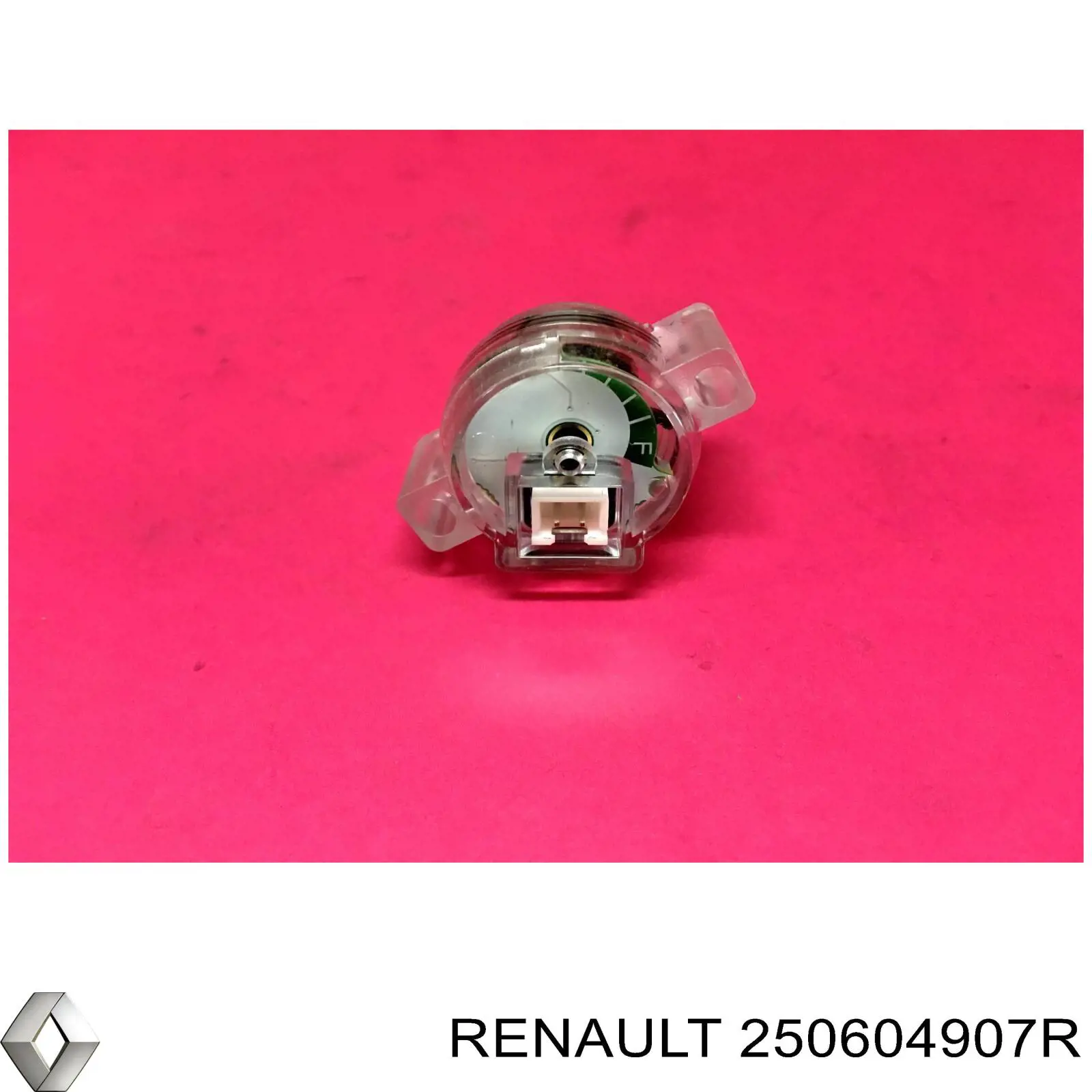  Renault (RVI) 250604907R precio, desde 111,09 EUR