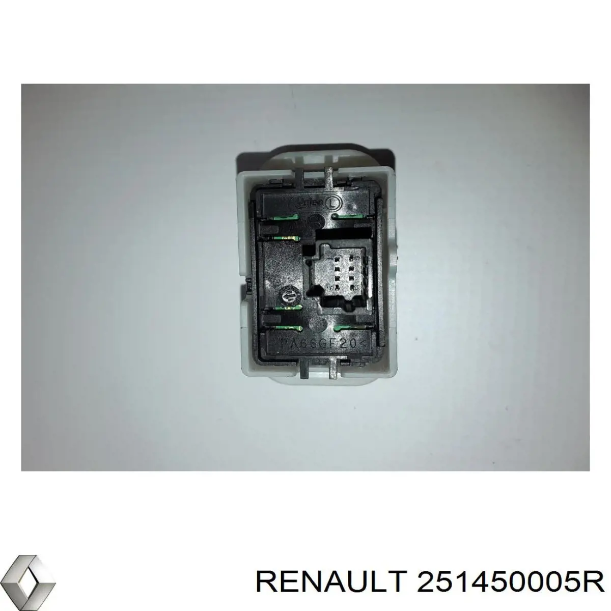 251450005R Renault (RVI)