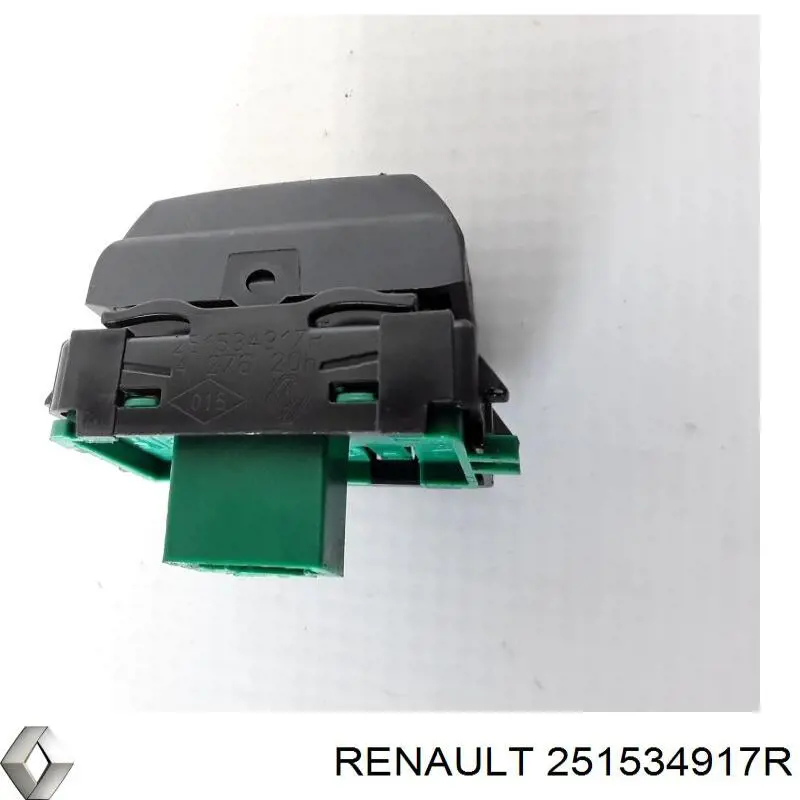 251534917R Renault (RVI)