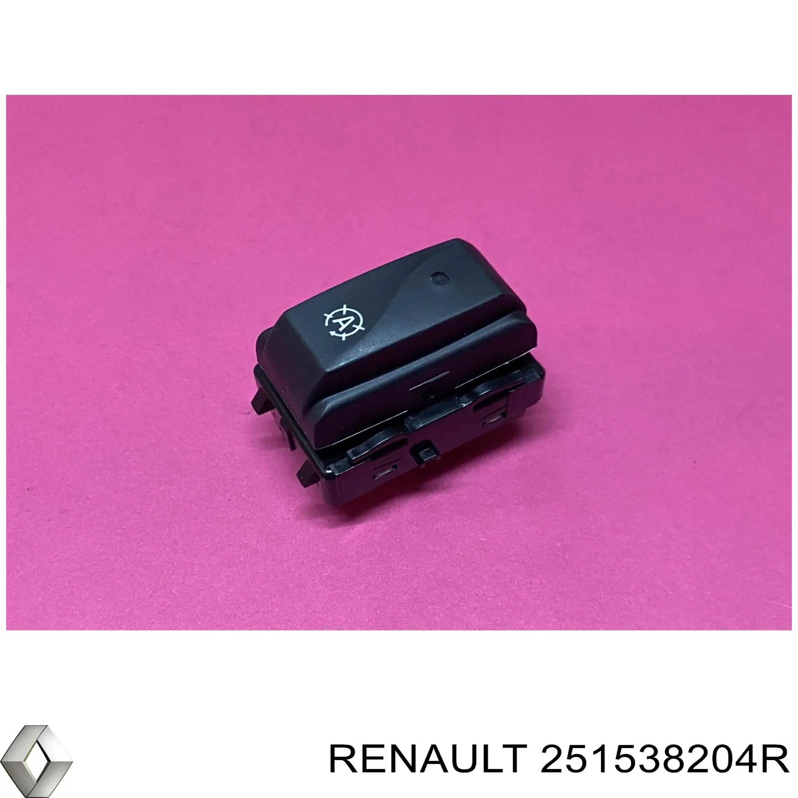 251538204R Renault (RVI)