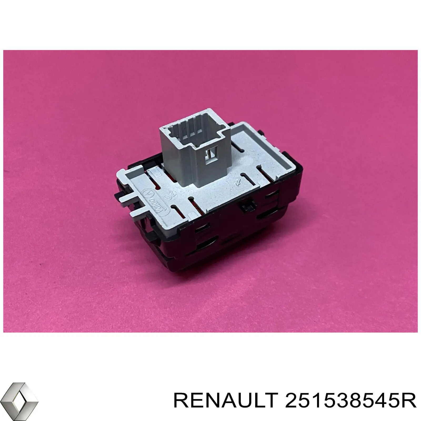  Renault (RVI) 251538545R precio, desde 39,20 EUR