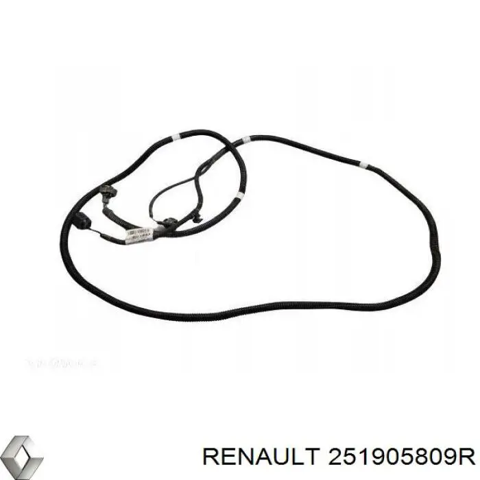 251905809R Renault (RVI)