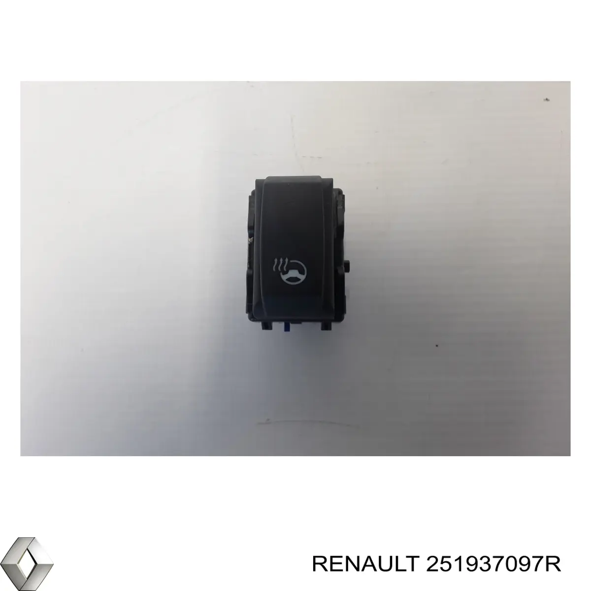 251937097R Renault (RVI)