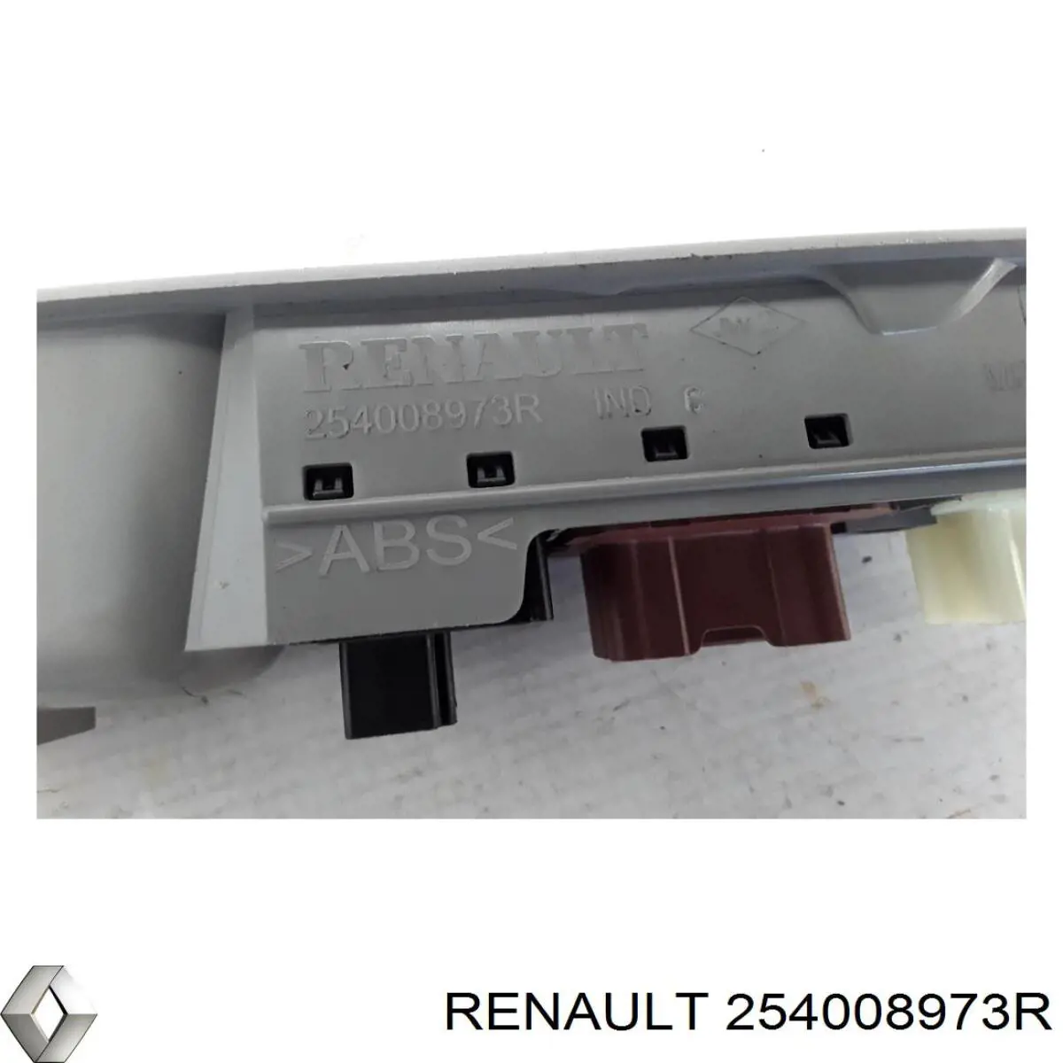 254008973R Renault (RVI)