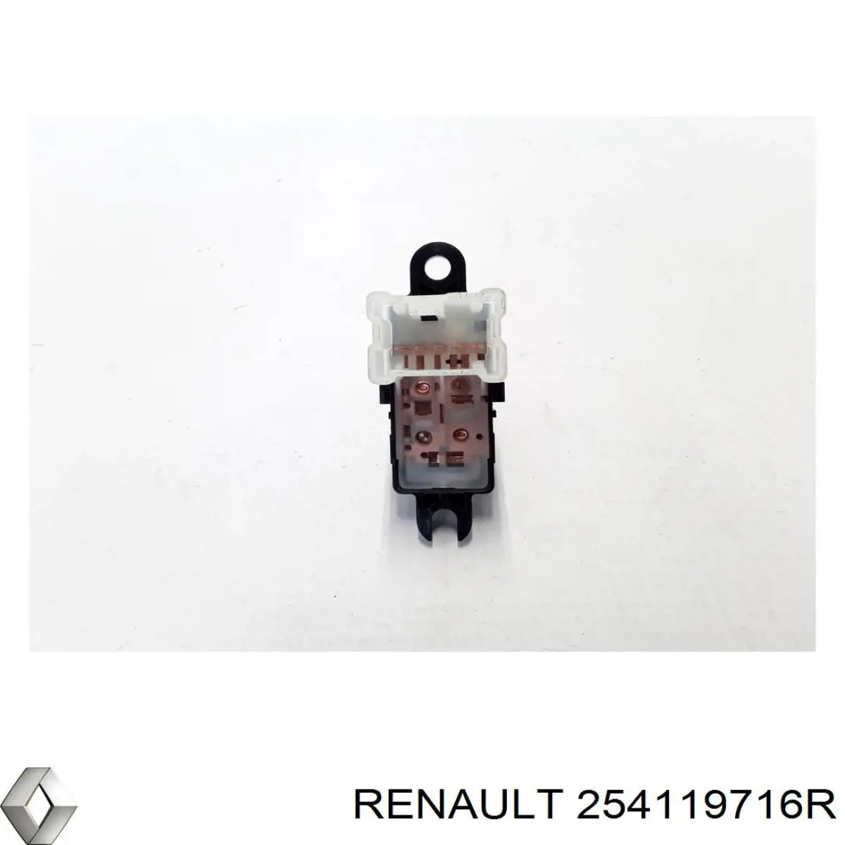 254119716R Renault (RVI)