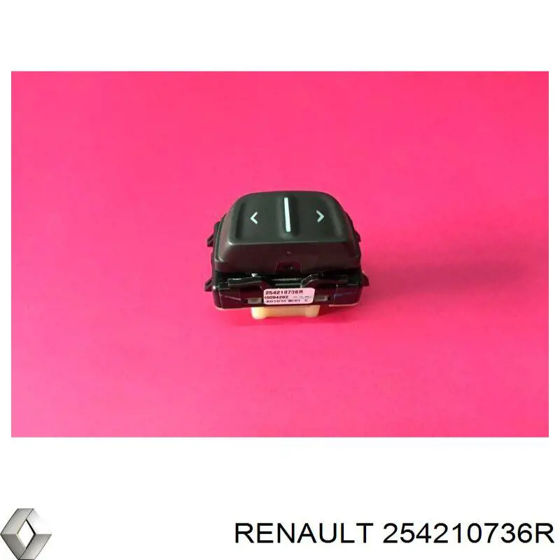 254210736R Renault (RVI)