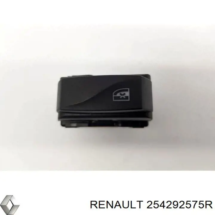 254292575R Renault (RVI)