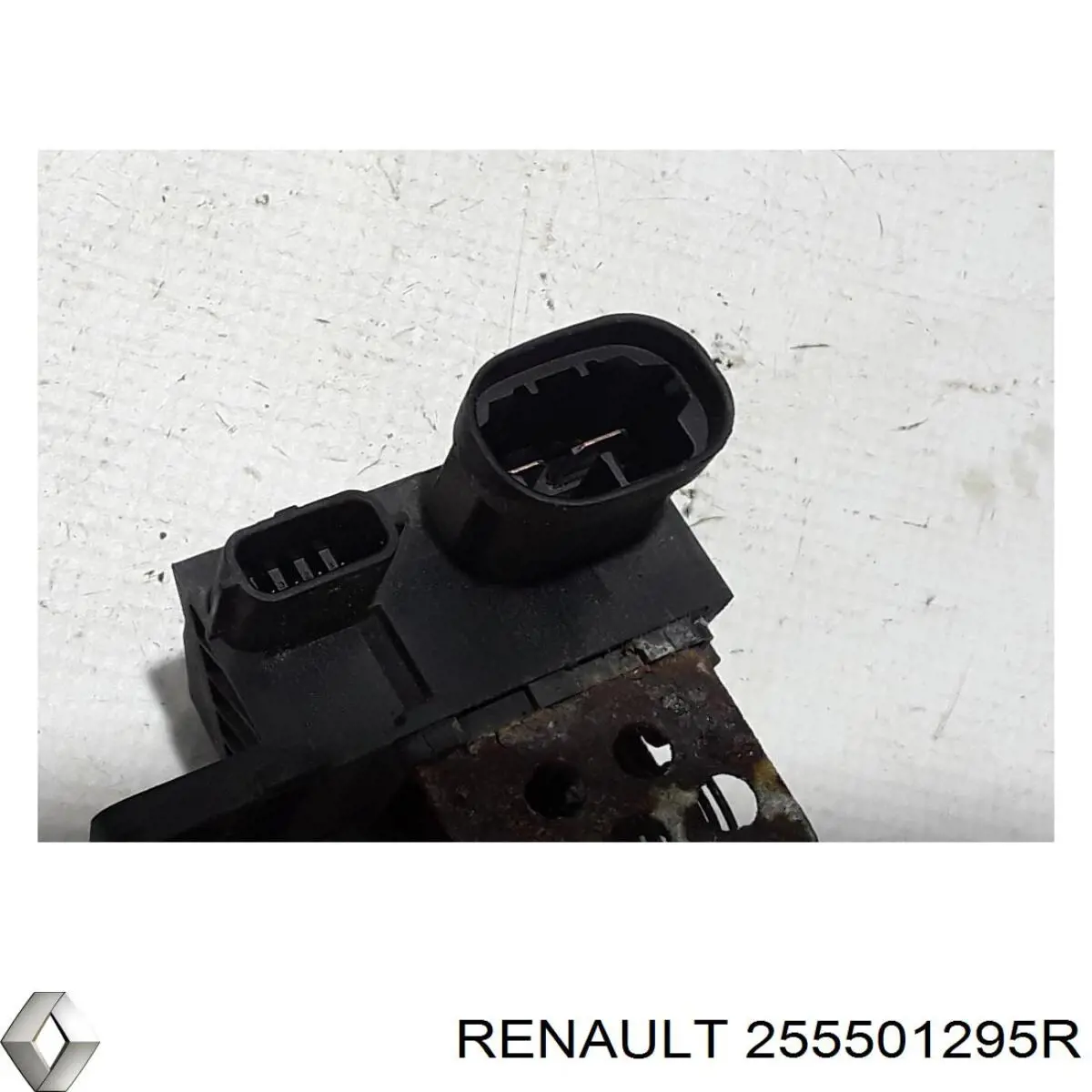  Renault (RVI) 255501295R precio, desde 39,20 EUR