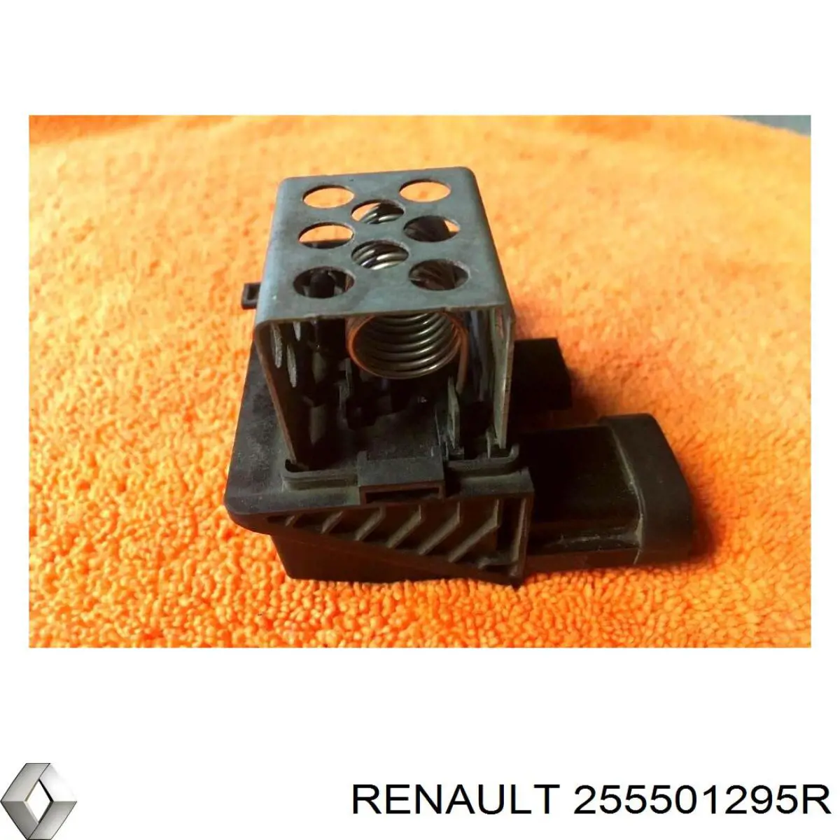  255501295R Renault (RVI)