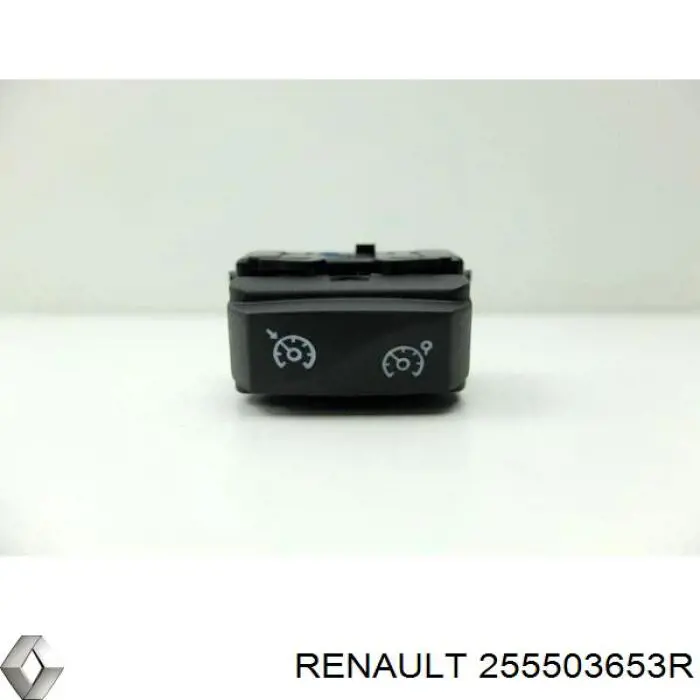 255503653R Renault (RVI) 