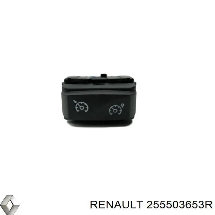  Renault (RVI) 255503653R precio, desde 36,80 EUR