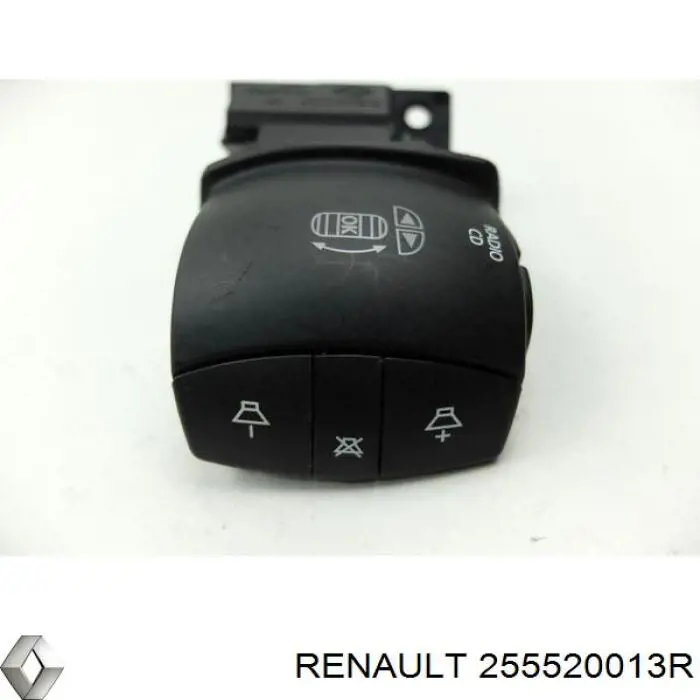 255520013R Renault (RVI)