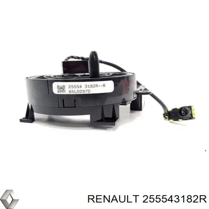 255543182R Renault (RVI)