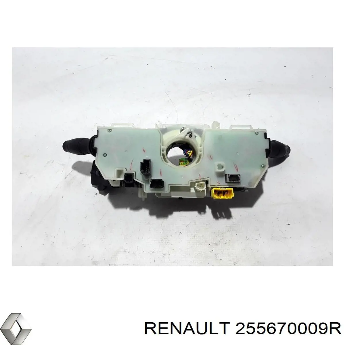 255670009R Renault (RVI)