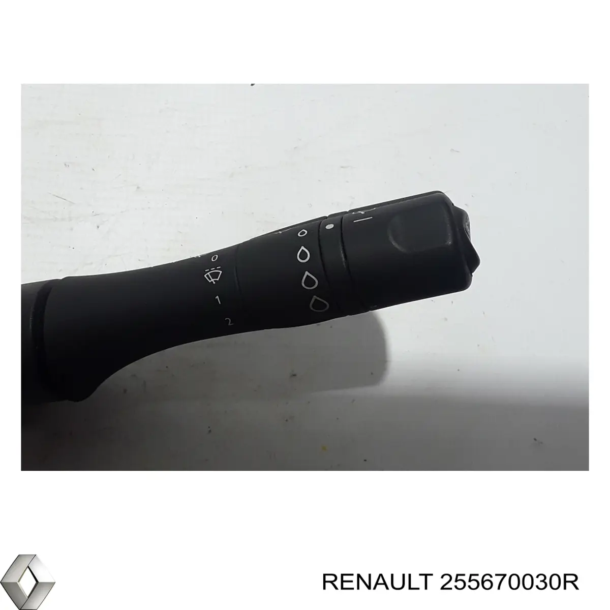 255670030R Renault (RVI)