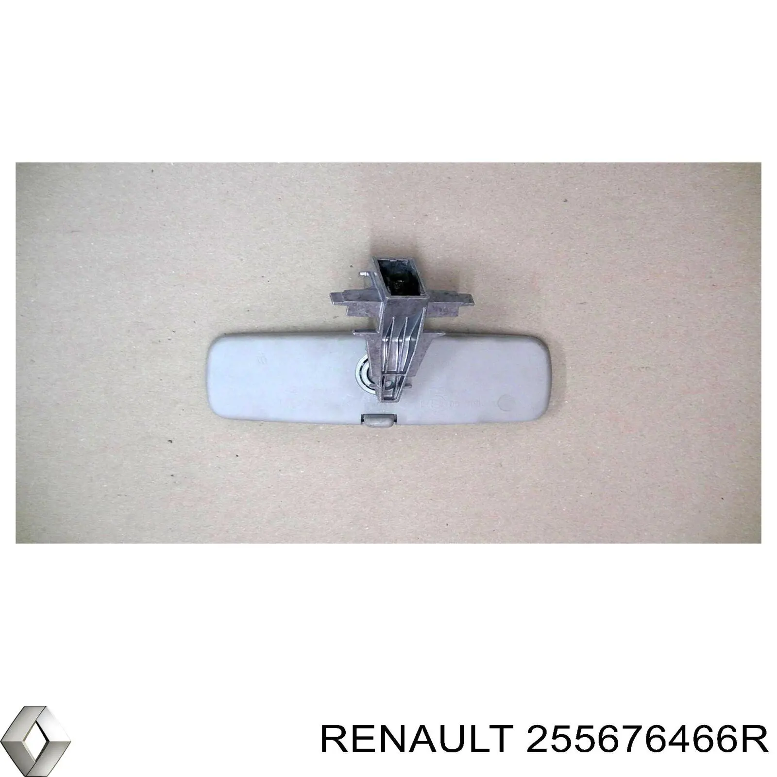 255676466R Renault (RVI)