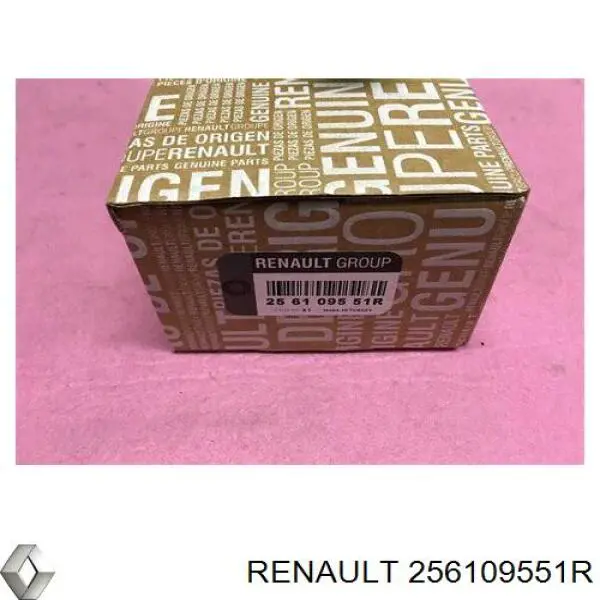 Claxon Renault (RVI) 256100004R precio, desde 31,94 EUR