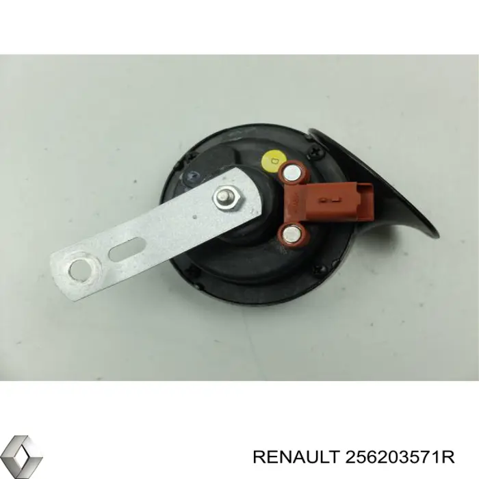 256203571R Renault (RVI)