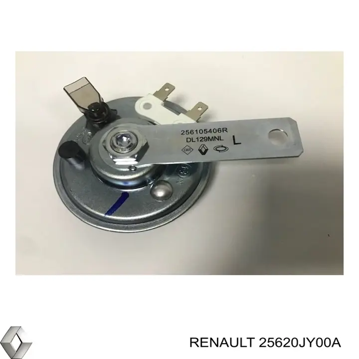 256105406R Renault (RVI)