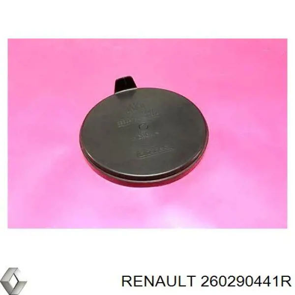 Cubierta trasera del faro Renault (RVI) 260290441R precio, desde 8,88 EUR