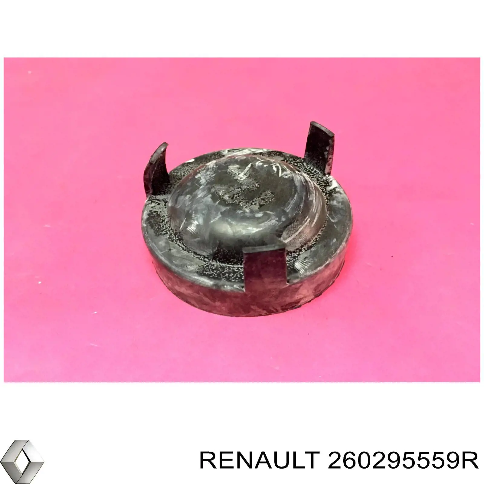 260295559R Renault (RVI)