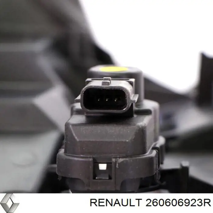 260606923R Renault (RVI)