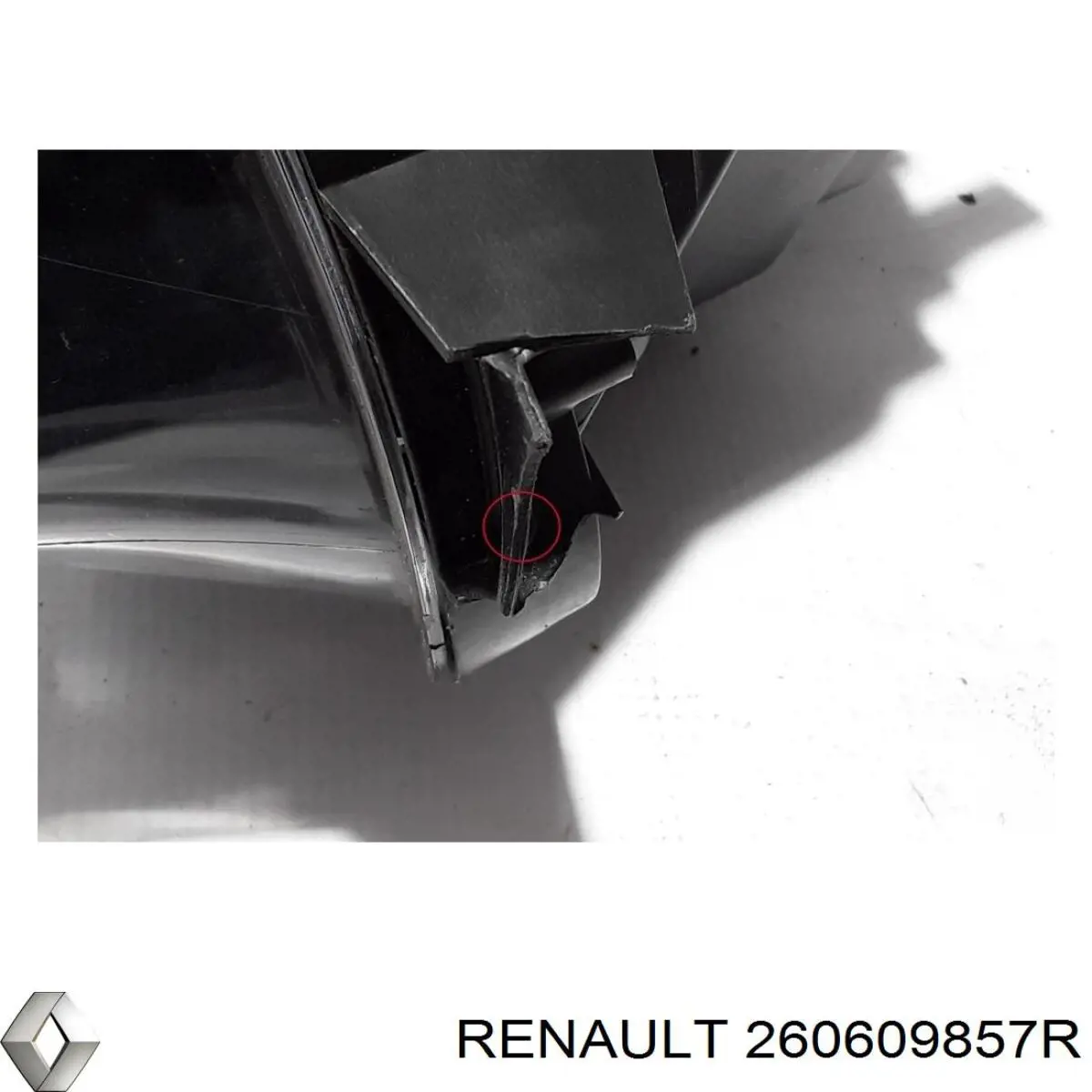  260609857R Renault (RVI)
