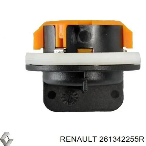 261342255R Renault (RVI) portalámparas, luz intermitente