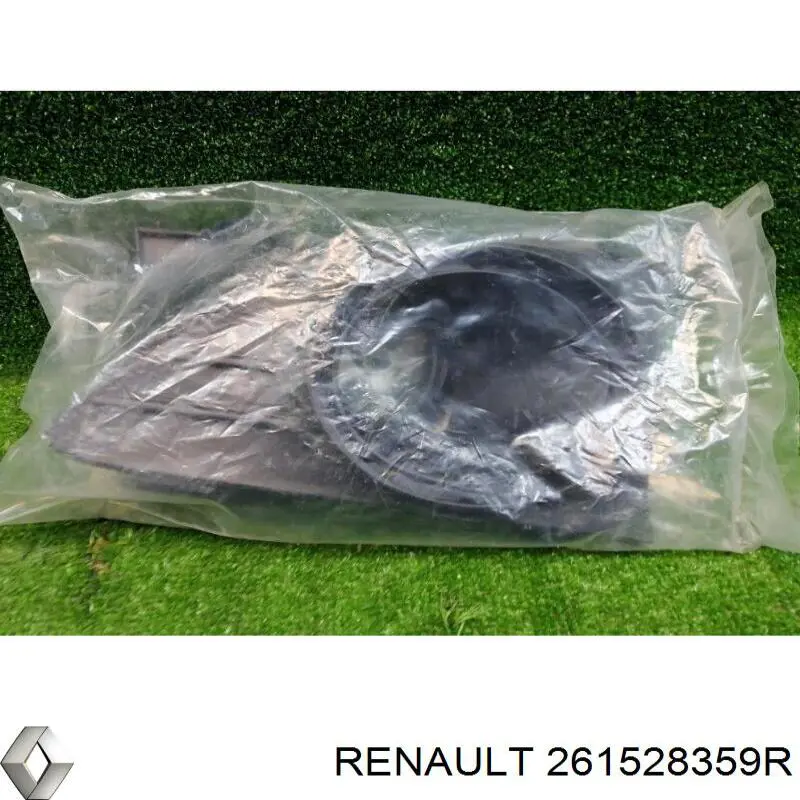 Tapa de rejilla de faro antiniebla del parachoques delantero Renault (RVI) 261528359R precio, desde 10,85 EUR