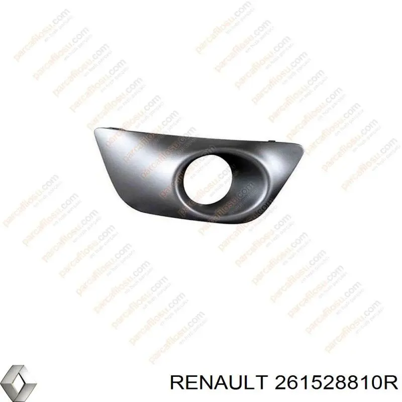 261528810R Renault (RVI)