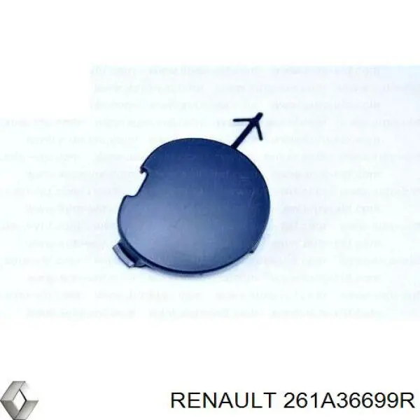 261A36699R Renault (RVI)