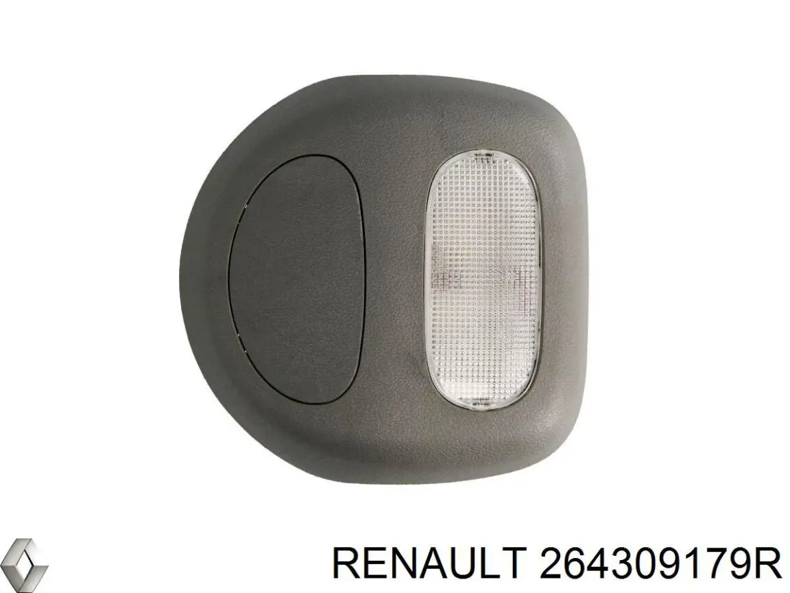 264309179R Renault (RVI)