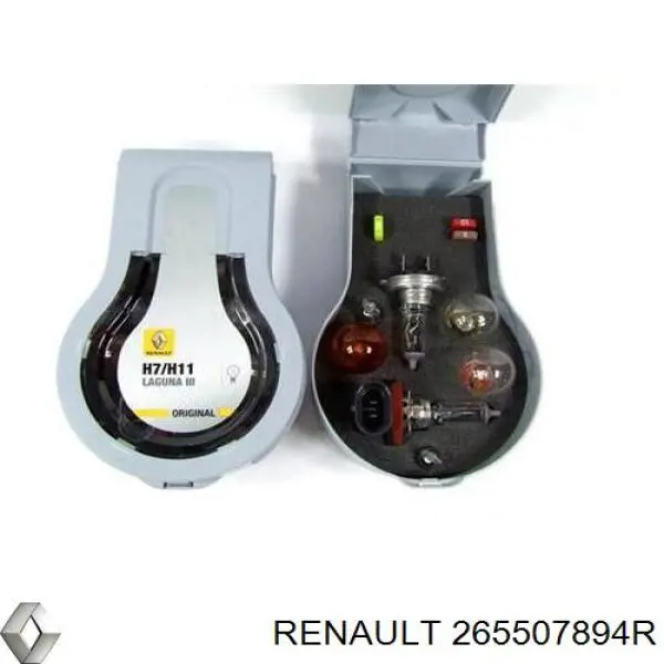 265507894R Renault (RVI) 